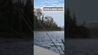 Drifting along a river in Quinault Nation pnw fallsalmon [upl. by Svoboda]