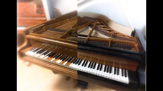 barn find Piano restoration [upl. by Notkcorb692]