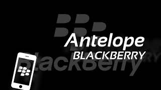 Antelope  Alarm  Blackberry [upl. by Thorpe]