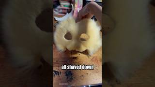 FULLY FURRED CAT MINION MASK TUTORIAL pt 1  therian quadrobics animalmask alterhuman [upl. by Deeanne]