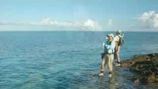 Seychelles Fly Fishing Holidays GT [upl. by Eiramesor]