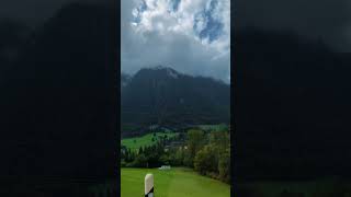 2024 edit biene bienen draußen music travel song cupcut [upl. by Gathard]