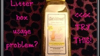 Cat Attract Litter Additive Product Review [upl. by Anej]