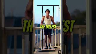 The Dip Calisthenics’ Most Underrated Exercise [upl. by Aerised]