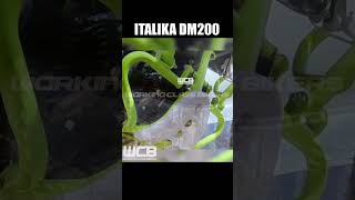 Italika DM200 🇲🇽 motos dobleproposito dm200 [upl. by Drahcir]