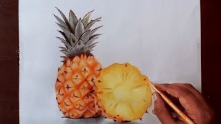 Drawing Pineapple  Prismacolor pencils [upl. by Koehler]