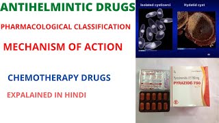 Anthelmintic Drugs pharmacology Anthelmintic Dugs Classificationin Hindi [upl. by Eizzo180]