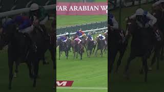 Bluestocking Wins The Prix de lArc de Triomphe QPAT [upl. by Sternberg]