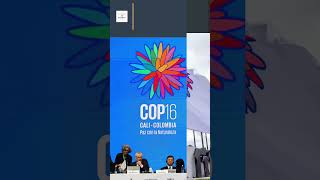 COP16 in Cali Colombia Insights Form UN Conference on Rights Through Biodiversity  COP16 Summit [upl. by Kerianne]