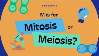 The Mitosis amp Meiosis cellcycle ytshorts neet biologyeducation [upl. by Dulcine]