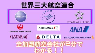 【飛行機写真のみ】ワンワールド、スカイチーム、スターアライアンス全ての加盟航空会社まとめ集※スカンジナビア航空に関しては概要欄にて [upl. by Poppy]