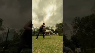 Folha Seca  Gainer  Flash Kick Proses Latihan [upl. by Ayocat24]