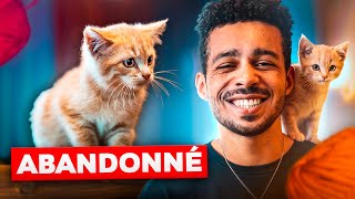 JAI RECUEILLI UN PETIT CHATON Il est trop mignon [upl. by Nepets]