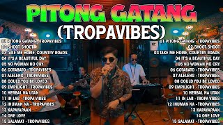 Pitong Gatang  Fred Panopio  Tropavibes Reggae Session  Tropavibes Reggae Cover Playlist 2024 [upl. by Herodias609]