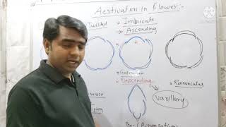 Aestivation in flower Plant Morphology NEET [upl. by Niajneb]