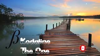 Kodaline  The One  Video Lyrics Terjemahan Indonesia [upl. by Keifer143]