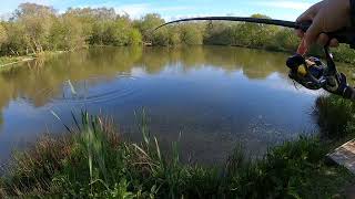 Carp fishing Waterside Cornwall May 2021 [upl. by Averat]