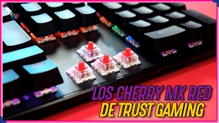 Trust gaming GXT 865 Asta  RESEÑA  Mejor teclado mecánico calidad precio en 2020 [upl. by Cul]