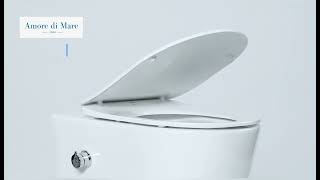 Wall hung rimless toilet Temo Bidet P322X [upl. by Ihcalam]