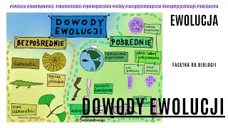 Dowody ewolucji  Źródła wiedzy o ewolucji Ewolucja i jej dowody  Film edukacyjny  Ewolucja 8 kl [upl. by Bridge]