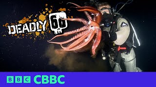 Top 5 Scariest Moments on Deadly 60 ☠️  CBBC [upl. by Belanger]