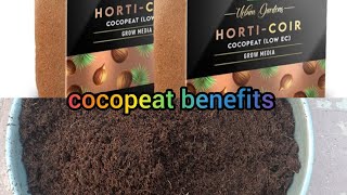 cocopeat bricks expands and his benefits for plant growth [upl. by Ueik]