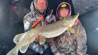 LAKE MENDOTA Great start to ice season PIKE AND WALLEYE icefishing fishing [upl. by Novehc]