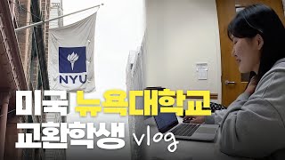 미국 NYU 교환학생 vlog [upl. by Gregson]