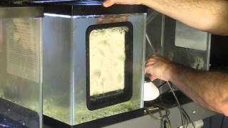 Santa Monica Filtration HOG13 Upflow Algae Scrubber  Unboxing and Installation [upl. by Gustafsson84]