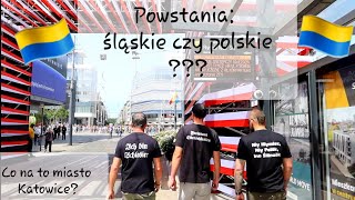 Co Katowice myślą o tzw Powstaniach Śląskich [upl. by Elysha]