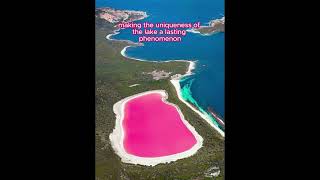 Lake Hillier of Western Australia [upl. by Siuluj]