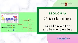 BIOELEMENTOS Y BIOMOLÉCULAS [upl. by Parrott476]