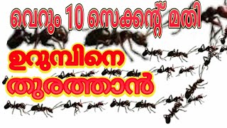 How To Get Rid Of Ants ഉറുമ്പിനെ തുരത്താൻ പൊടിക്കൈ [upl. by Gussi284]