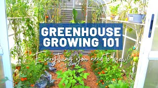 Greenhouse Growing Basics 101  For beginners and intermediate  Design Pros and cons Quirks Tips [upl. by Skilken]