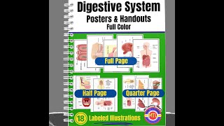 Digestive System Posters and Handouts Preview Video [upl. by Bremen]