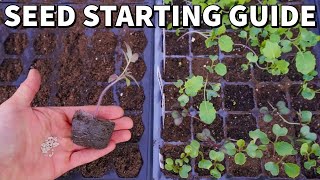 The Ultimate Beginners Guide To STARTING SEEDS Indoors [upl. by Lauree]