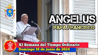 Ángelus 16 de junio de 2024 Papa Francisco [upl. by Yelsek]