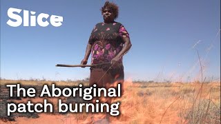 How Aboriginal Australians use fire to help the ecosystem  SLICE [upl. by Ophelie]