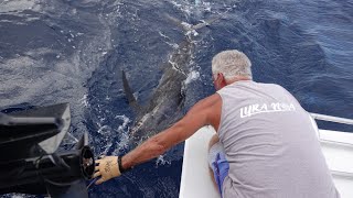 Quepos and our first Costa Rican Blue Marlin [upl. by Chee693]