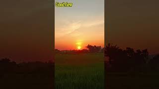 Mentari pagi bersinar cerah ☀ shortvideo nature mentaripagi [upl. by Slohcin146]