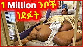 🔴 በ2030 የሰው ልጅ በንብ ማምለክ ጀመረ [upl. by Vieva]