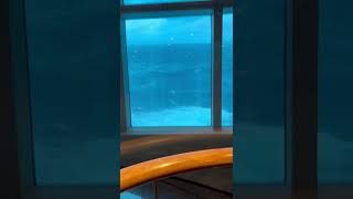 SERENADE OF THE SEAS STORM DAY HIGH WAVES [upl. by Eneryt186]