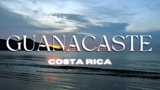 Guanacaste Costa Rica 2024  Natural Wonders in the Tropical Forrest [upl. by Madelina]