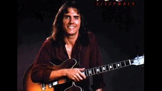 Larry Carlton  Song For Katie Audio HQ [upl. by Isoj55]