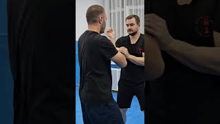 Basic training in PHBGHC Ving Tsun Kung Fu Moldova wingchung kungfu martialarts [upl. by Ahker]