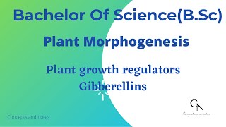 Gibberellins  Plant Hormones  Concepts and Notes [upl. by Rosen]