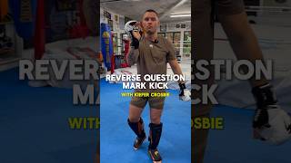 Reverse question mark kick with Kiefer crosbie 🫡 mma kickboxing kicks viralvideo BDK [upl. by Dlaniger755]