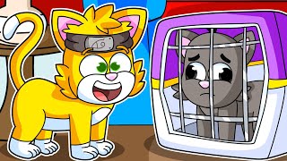 Nos Convertimos en Gatos en el Escondite 🐱 Cats Hide and Seek  2 Noobs son GATOS en Roblox [upl. by Aznofla]