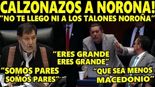 ERES CH1NGON NOROÑA NO TE LLEGO NI A LOS TALONES ASÍ GRITO MACEDONIO EN PLENA SESIÓN EN EL SENADO [upl. by Eisyak]