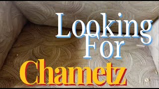 Looking For Chametz A Passover Parody [upl. by Nella136]